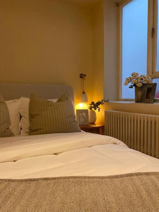 Cosy Away From Home. * Brighton